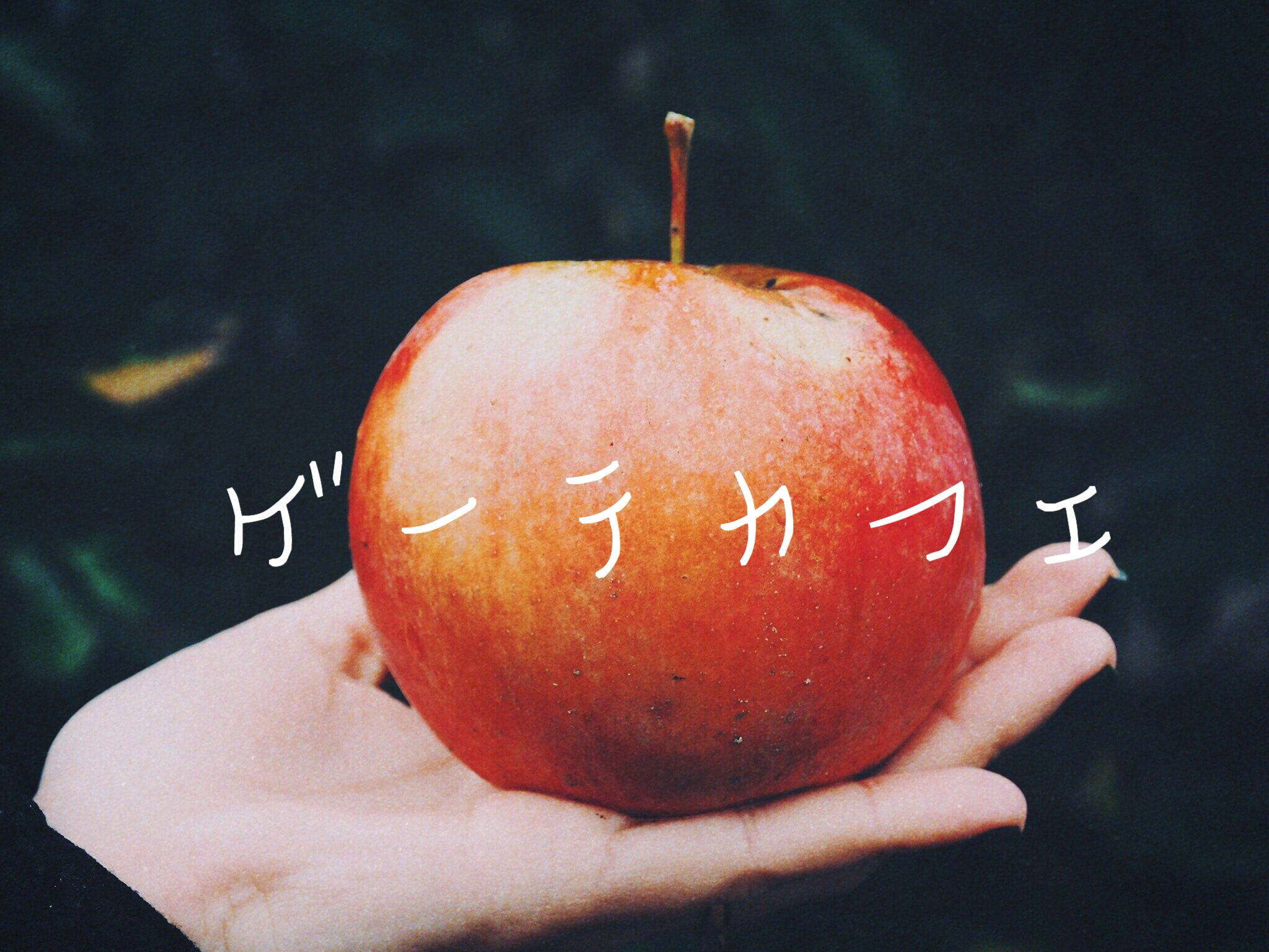 リンゴを手にしたゲーテカフェの写真